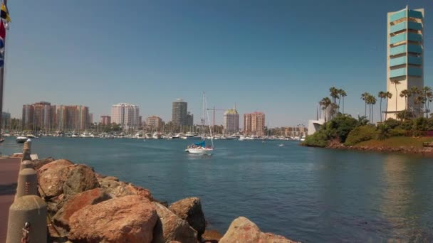 Sailboat Passing Marina Its Way Out Sea — Stock Video