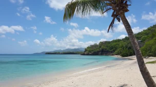 Una Playa Agua Cristalina Épica Mar Caribe Granada Playa Novios — Vídeos de Stock