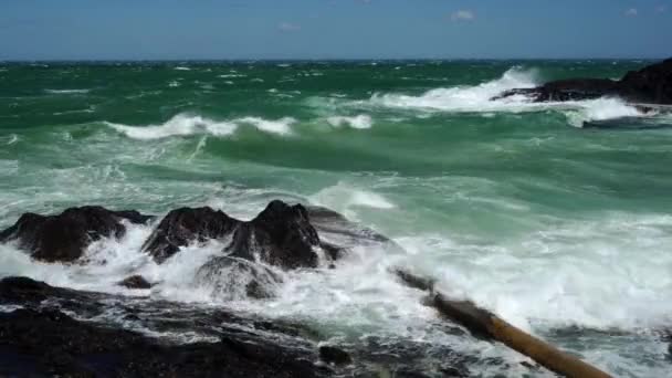 Las Olas Golpean Costa Alrededor Collioure Durante Los Fuertes Vientos — Vídeos de Stock