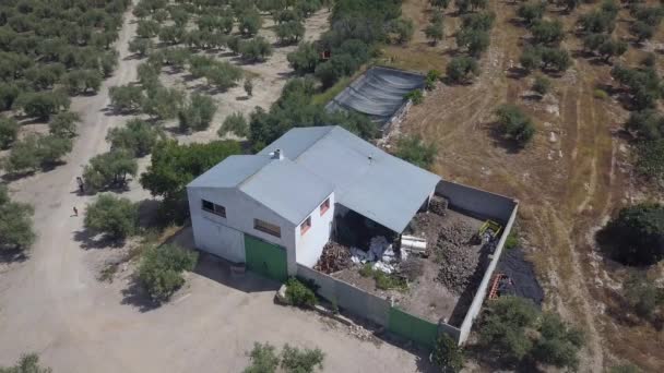 スペイン南部のオリーブの木に囲まれたオイル倉庫の空中傾斜 — ストック動画
