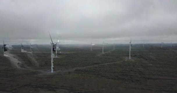 Imágenes Aéreas Parque Eólico — Vídeos de Stock