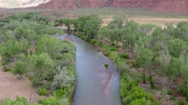 Filmati Aerei Del Drone Del Parco Nazionale Zion Nello Utah — Video Stock