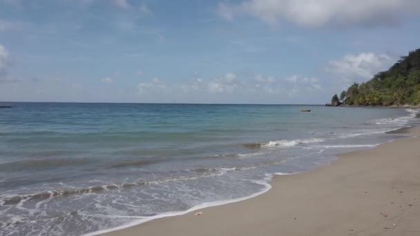 Vlny Narážející Pobřeží Karibském Ostrově — Stock video