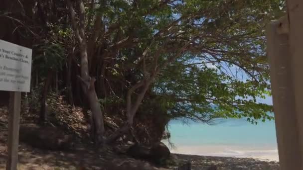 Karayip Denizindeki Bir Plajın Rahatlatıcı Görüntüleri — Stok video