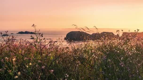 Hermoso Lapso Tiempo Atardecer Costa Oregon Bandon Beach Elephant Head — Vídeo de stock