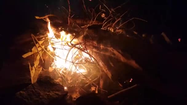 Beautiful Footage Campfire Rural Area — Stock Video