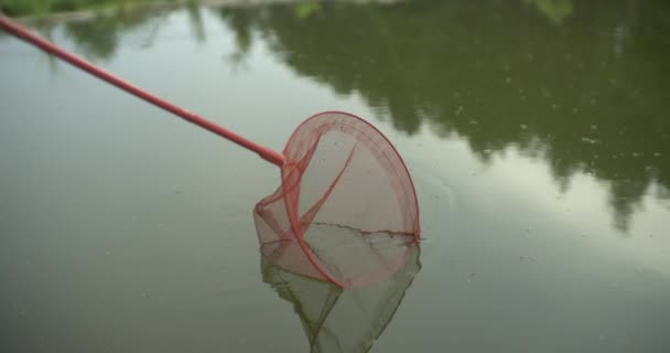 Cleaning Pound Net Slow Motion — Stock Video