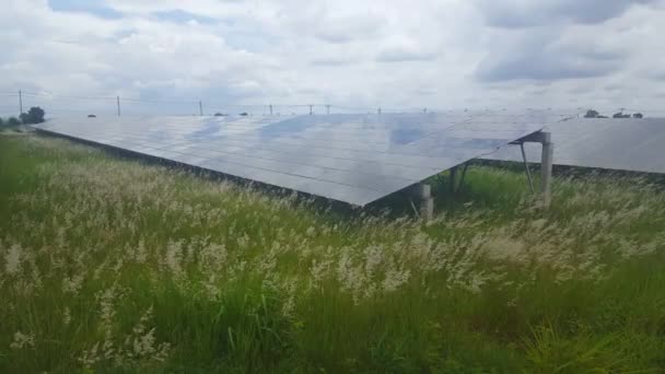 Módulos Fotovoltaicos Solares Tranquilos Tranquilos Que Producen Energía Limpia Una — Vídeos de Stock