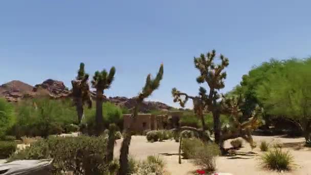 Two Large Joshua Trees Frame Traditional Southwestern Style Adobe House — Stock Video