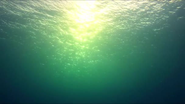 水下自然 阳光从上方照射进清澈的深水中 形成美丽的水照明反射帷幕 — 图库视频影像