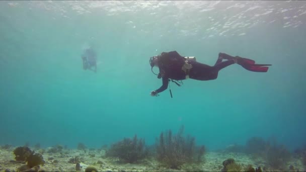 Potápěč Plovoucí Vodě Boční Pohled — Stock video