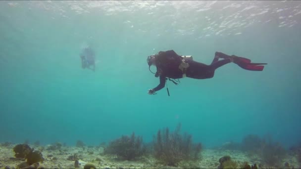 Scuba Dalgıcı Suda Yüzüyor Yan Görünüm — Stok video