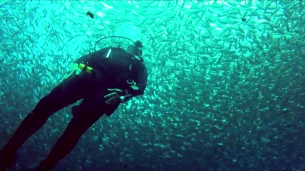 水肺潜水者沿着垂直向上的方向漂流 流入一个大群的鱼 底部视图 — 图库视频影像