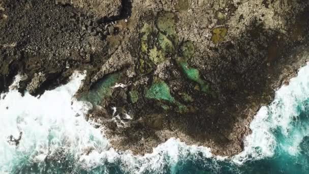 Bird Eye View Waves Crashing Makapu Tidepool Rocky Coast Oahu — стоковое видео