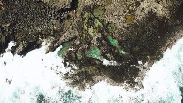 Drone Strzał Bezpośrednio Nad Falami Rozbił Się Makapu Tidepools Skalistego — Wideo stockowe