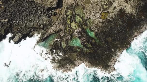 在夏威夷瓦胡岛岩石海岸的夏威夷Makapu U污水池上方被射中 — 图库视频影像
