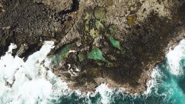 Bird Eye Drone Zastrzelony Bezpośrednio Nad Makapu Tidepools Skalistym Wybrzeżu — Wideo stockowe