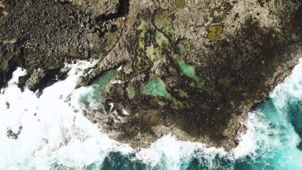 Drone Shot Diretamente Acima Tidepools Makapu Oahu Havaí Ondas Podem — Vídeo de Stock