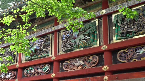 Gran Muro Tallado Templo Del Santuario Toshogu Nikko Japón Rico — Vídeos de Stock