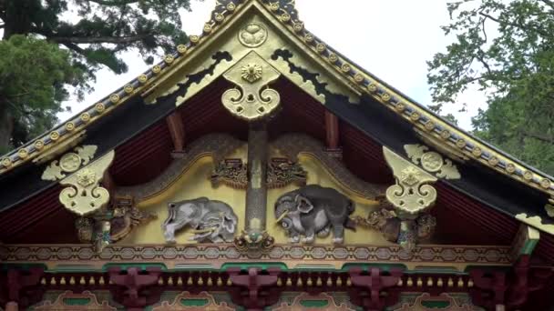 Tallados Elefantes Frente Del Templo Del Santuario Toshogu Nikko Japón — Vídeos de Stock