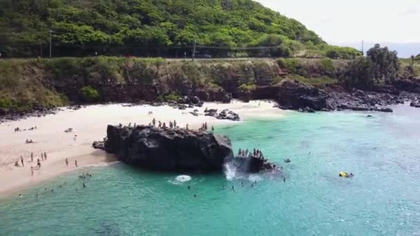 Drone Strzał Odlatujący Ludzi Urwisko Skaczące Skały Zatoce Waimea Słoneczny — Wideo stockowe