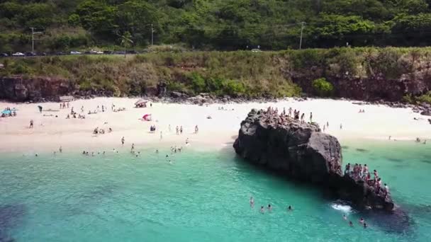 Drone Strzał Kierunku Grupy Ludzi Urwisko Skaczące Skały Waimea Bay — Wideo stockowe