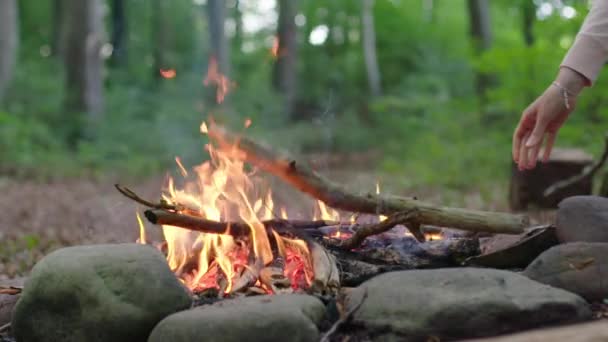 女人把树枝扔进篝火里 — 图库视频影像