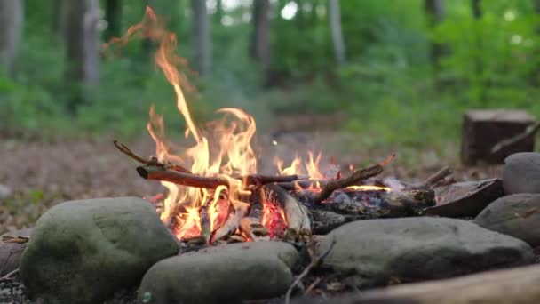 Feu Camp Été Dans Forêt — Video