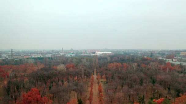Budapest Ungern Flyger Över Kerepesi Kyrkogård Med Drönare Hösten Gyllene — Stockvideo