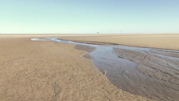 Getijdenkreek Bij Het Modderige Noordzeestrand Eenzame Oneindige Breedte Prachtig Weer — Stockvideo