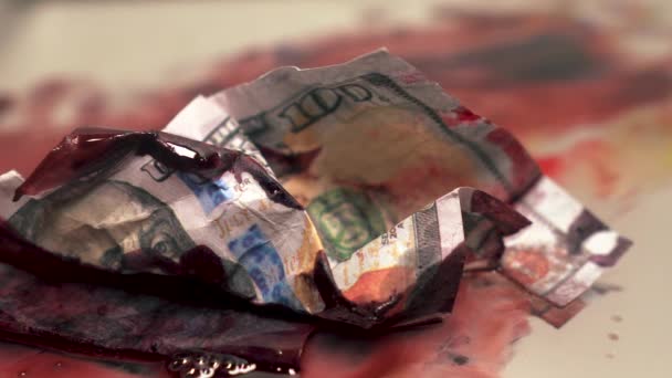 Blutgeld Schmutzig Mit Fliege Schwirren Langsam Bewegen Nahaufnahme Hundert Dollar — Stockvideo
