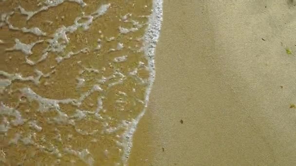 缓慢的运动 看海滨 泡沫从水里倒入沙滩 沙滩上的水和海岸上的水 — 图库视频影像