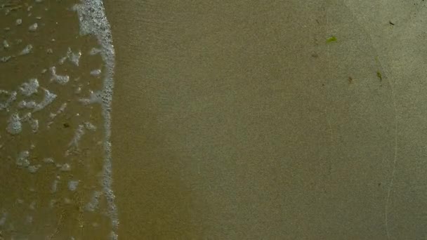 海岸の眺め 海岸の砂と砂と水に注がれた水からの泡 — ストック動画