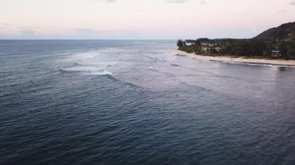 オアフ島の北海岸沖の波を楽しむサーファーの上を飛ぶドローンショット — ストック動画