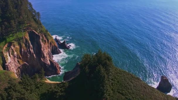 Vorwärts Fliegen Und Steile Klippen Wasser Wellen Bäume Entdecken — Stockvideo