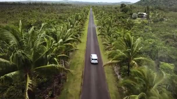 Drone Tiré Après Une Voiture Conduisant Travers Une Route Tropicale — Video