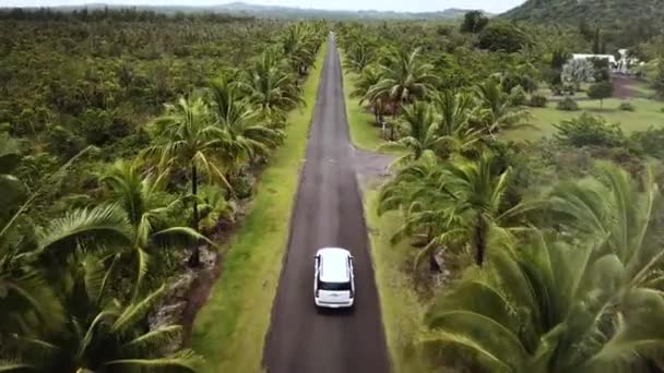 ハワイ島のココナッツの木やヤシの木が並ぶ熱帯の道を車でドライブした後のドローン撮影 — ストック動画