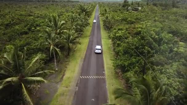ハワイ島のココナッツの木やヤシの木が並ぶ熱帯の道を車でドライブした後のドローン撮影 — ストック動画