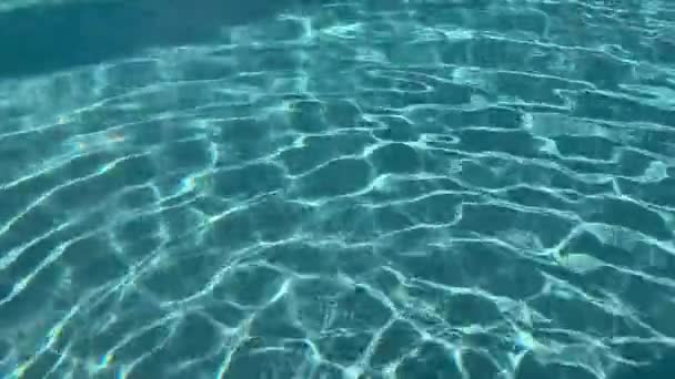 햇빛에 반사되어 물에서 수영하는 — 비디오
