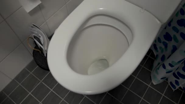 High Angle Mid Shot Flushing Toilet Modern Bathroom Magazines Shower — Stock Video