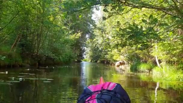 Canoa Moviéndose Lentamente Naturaleza Intacta Inexplorada Madre Tierra Paz — Vídeo de stock