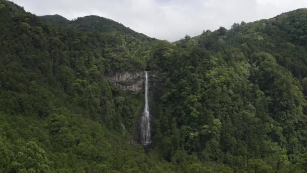 Drone Tiro Cachoeira Nachi Taisha Maior Japão Trilha Dodô Kumano — Vídeo de Stock