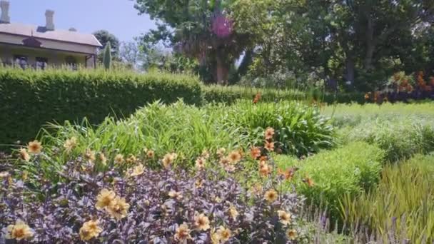 Movendo Através Jardim Cama Flores Nos Jardins Botânicos Melbourne Austrália — Vídeo de Stock