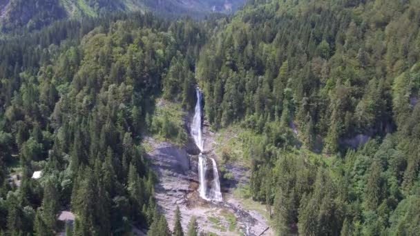 Drone Volo Una Lussureggiante Foresta Alpina Che Avvicina Ghiacciaio Sciogliendosi — Video Stock