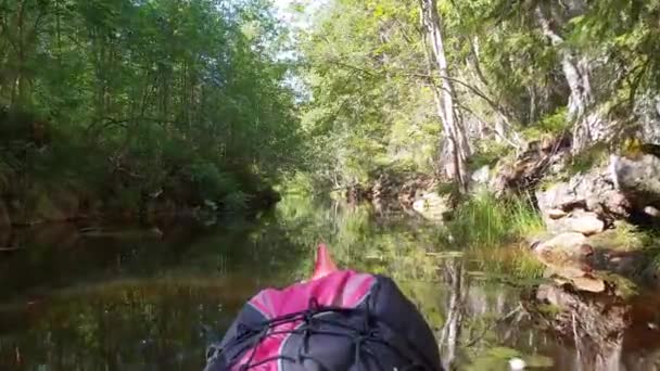 カヤックはまだ水の中で最も美しい森のジャングルの中で浮動小数点 木や平和的な自然ぶら下げ 最初の人のビュー — ストック動画