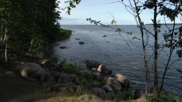 在Ksmu海岸的夏天接骨木和划船 大岩石 — 图库视频影像