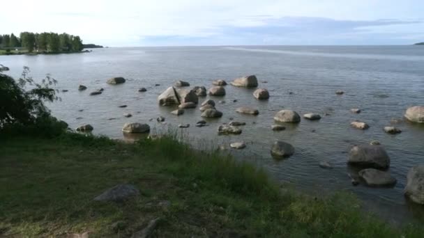 水の中の石 バルト海 フィンランド湾 クスムの海岸 背景に岬 右側のパノラマ — ストック動画