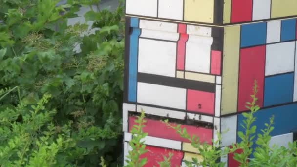 Μέλισσες Πετούν Γύρω Από Μια Κυψέλη Έναν Κήπο — Αρχείο Βίντεο