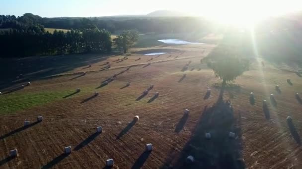 오스트레일리아 빅토리아 이스트 밭에서 둥그스름 발레의 속으로 촬영하였다 2019 — 비디오
