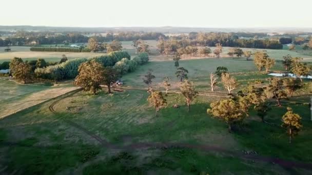 Luftaufnahmen Mit Schatten Von Landwirtschaftlichen Feldern Mit Schafen Und Einheimischen — Stockvideo